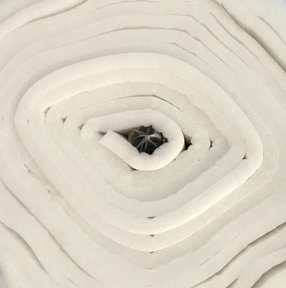 Filtro de Tecto